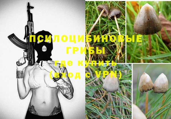 соль ск Бугульма
