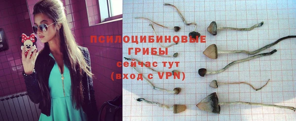 соль ск Бугульма
