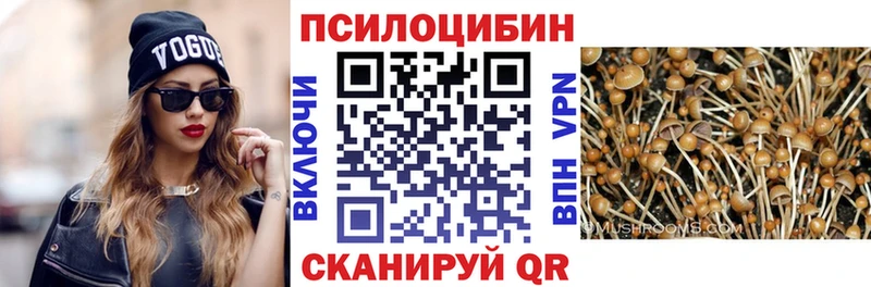 Галлюциногенные грибы MAGIC MUSHROOMS  продажа наркотиков  Томилино 